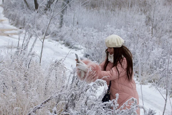 Девушка Зимней Одежде Фотографии Кустов Покрытых Красивыми Инеями — стоковое фото