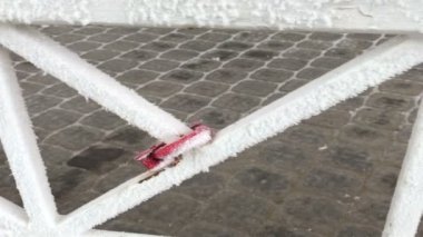 Asma kilitler parkta çardakta korkuluk üzerinde asılı. Her şey Frost ile kaplıdır.