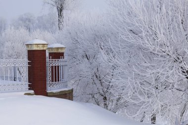 Kış park çit. Çalılar ve ağaçlar kalın frost ile kaplıdır.