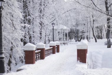 Eski tarzda yapılmış köprünün korkuluk. Her şeyi etrafında kalın frost ile kaplıdır.