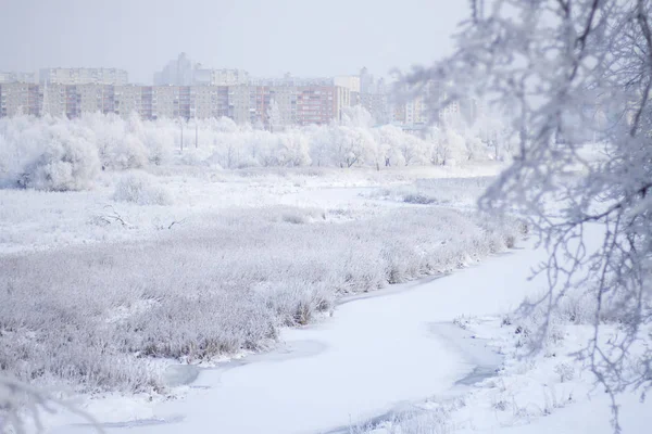 Winterpark Büsche Und Bäume Sind Mit Dickem Frost Bedeckt Sichtbarer — Stockfoto