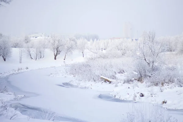 Winterpark Büsche Und Bäume Sind Mit Dickem Frost Bedeckt Sichtbarer — Stockfoto