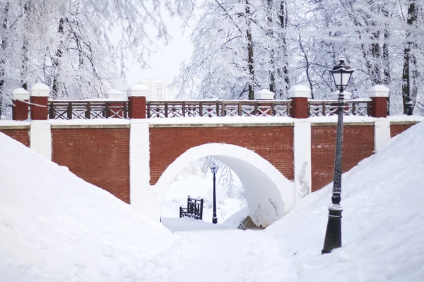Köprü, eski tarzı yaptı. Her şeyi etrafında kalın frost ile kaplıdır.