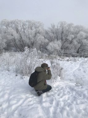 Bir fotoğrafçı kamerası ile bir kış manzara alır. Winter Park. Çalılar ve ağaçlar kalın frost ile kaplıdır.