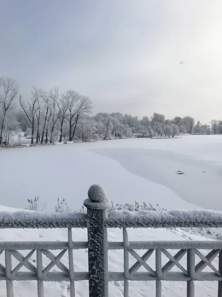 Winterpark Büsche Und Bäume Sind Mit Dickem Frost Bedeckt — Stockfoto