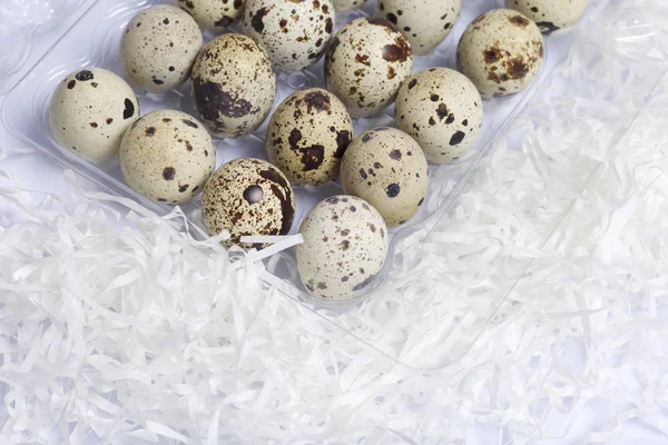 Huevos Codorniz Encuentran Recipiente Plástico Cerca Chips Papel Sobre Fondo —  Fotos de Stock