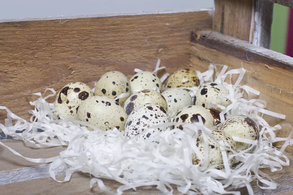 Des Œufs Caille Ils Reposent Sur Des Copeaux Papier Dans — Photo