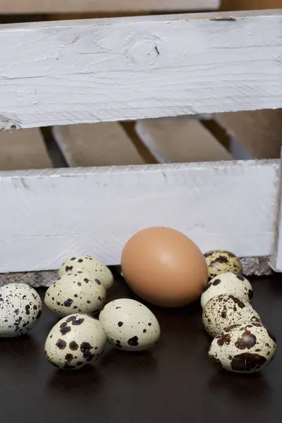 Ovo Galinha Entre Ovos Codorna Eles Estão Lado Uma Caixa — Fotografia de Stock