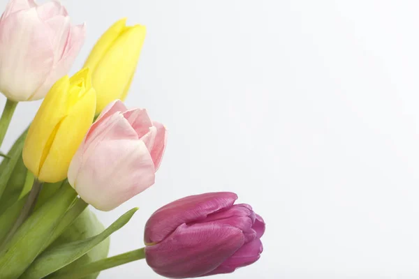 Fiori primaverili. Un bouquet di tulipani di diversi colori su sfondo bianco . — Foto Stock