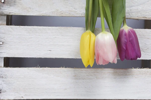 Fiori primaverili. Un bouquet di tulipani di diversi colori sullo sfondo di tavole di legno . — Foto Stock