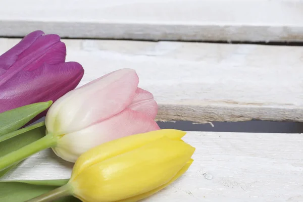 Fiori primaverili. Un bouquet di tulipani di diversi colori sullo sfondo di tavole di legno . — Foto Stock