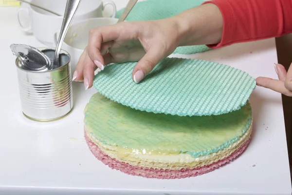 여자는 케이크를 윤 활 하 고 더미에. 다른 색깔의 둥근 웨이퍼 케이크입니다. 와플 케 익 만들기 위한 거기 인근는 케이크를 농축 우유의 수. — 스톡 사진