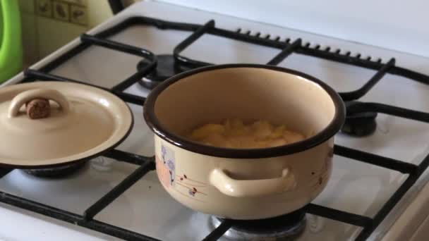 Les Pommes Sont Cuites Dans Une Casserole Pour Obtenir Compote — Video