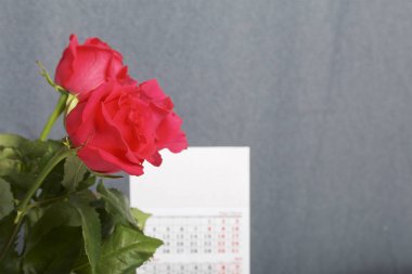 Vazoda kırmızı gül buketi. Sonraki bir takvimdir. Gri bir arka plan üzerinde.