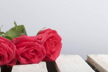 Kırmızı gül buketi. Ahşap Komiteler arka plan üzerinde