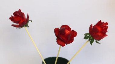 Çilek yapılmış güller. Çilek bir sopa giymiş, yaprakları bir bıçak ile yapılır. Beyaz arka planda.