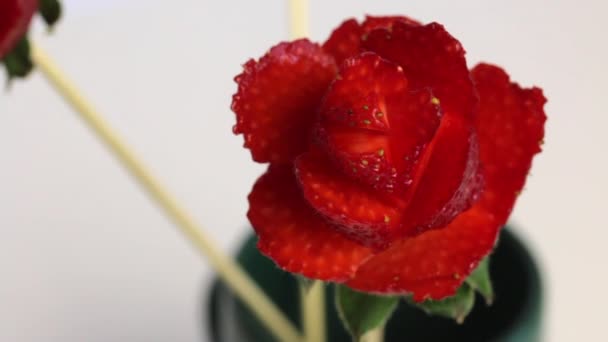 用草莓做的玫瑰 草莓是用棍子穿的 花瓣是用刀做的 在白色背景上 — 图库视频影像