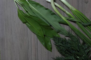 Taze yeşillikler düzgünce masanın üzerine serilir. Kokulu soğan, dereotu ve yabani sarımsak. Sağlıklı salata için Malzemeler.