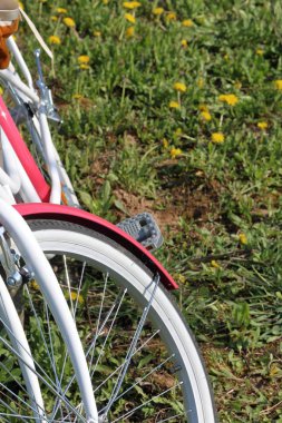 Bisiklet bahar glade duruyor. Karahindibalar çiçek açıyor.