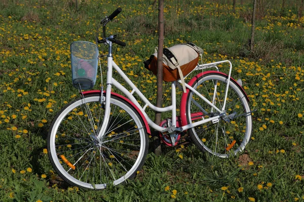 Rower stoi na wiosnę polany. Następny plecak turystyczny. Mniszek lekarski kwitnie. — Zdjęcie stockowe