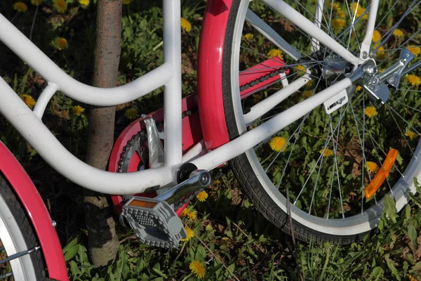 Rower stoi na wiosnę polany. Mniszek lekarski kwitnie. — Zdjęcie stockowe