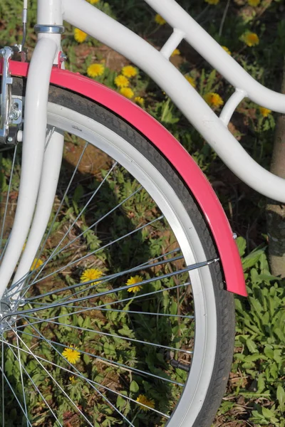 Fahrradständer auf der Frühlingswiese. Löwenzahn blüht. — Stockfoto