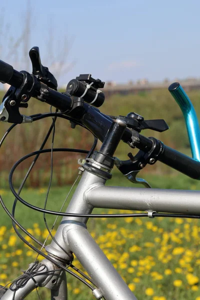 Rower stoi na wiosnę polany. Mniszek lekarski kwitnie. — Zdjęcie stockowe