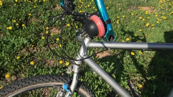Vieja Bicicleta Carretera Está Cerca Árbol Parque Primavera — Vídeo de stock