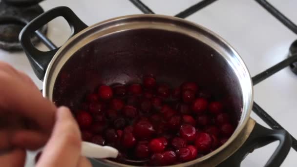 Uomo Mescola Zucchero Mirtilli Rossi Congelati Una Casseruola Mescolate Con — Video Stock