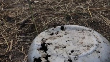 Eski alüminyum kase. Deliklere kadar aşınmış. Güneşle kavrulan dünyada baş aşağı yatıyor.