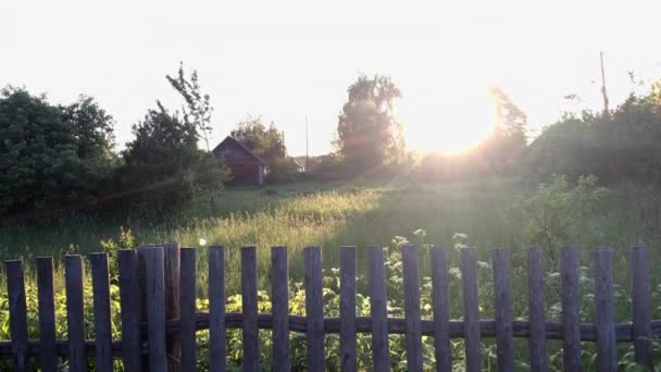 Paisaje Rústico Luz Del Sol Cerca Vieja Madera Detrás Césped — Vídeo de stock