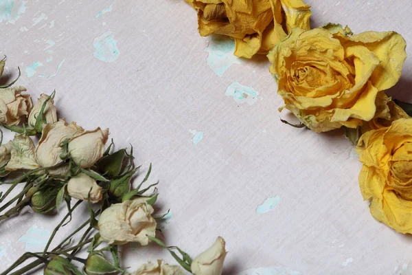 Dried flowers of yellow and white roses. On an old background with peeling paint.