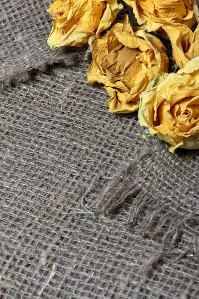 Gruba tkanina lniana. Na nim są suszone żółte róże. — Zdjęcie stockowe
