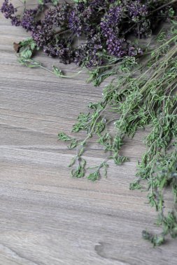 Bir demet kurutulmuş ot. Kekik bahçesi.