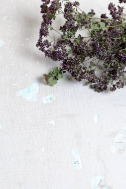 Bir demet kurutulmuş ot. Kekik bahçesi. Soyma boyaile eski duvarın arka planına karşı.