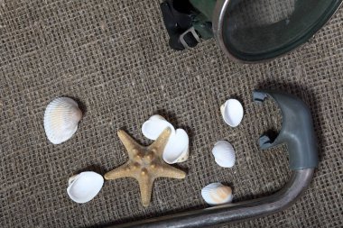 Denizyıldızı, kabuklar ve tüplü dalış için şnorkel ile bir maske. Onlar kaba bir keten kumaş üzerinde yalan.