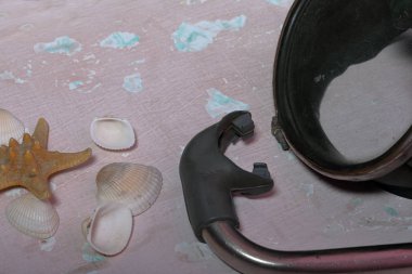 Denizyıldızı, kabuklar ve tüplü dalış için şnorkel ile bir maske. Eskipli bir boya ile yüzeye uzanın.