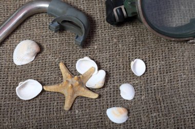 Denizyıldızı, kabuklar ve tüplü dalış için şnorkel ile bir maske. Onlar kaba bir keten kumaş üzerinde yalan.