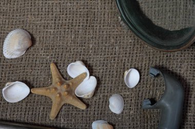 Denizyıldızı, kabuklar ve tüplü dalış için şnorkel ile bir maske. Onlar kaba bir keten kumaş üzerinde yalan.