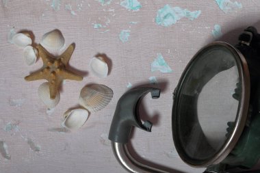 Denizyıldızı, kabuklar ve tüplü dalış için şnorkel ile bir maske. Eskipli bir boya ile yüzeye uzanın.