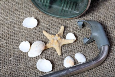 Denizyıldızı, kabuklar ve tüplü dalış için şnorkel ile bir maske. Onlar kaba bir keten kumaş üzerinde yalan.