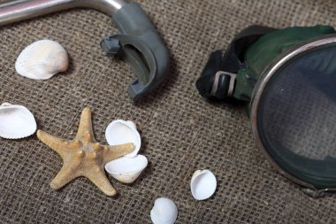 Denizyıldızı, kabuklar ve tüplü dalış için şnorkel ile bir maske. Onlar kaba bir keten kumaş üzerinde yalan.