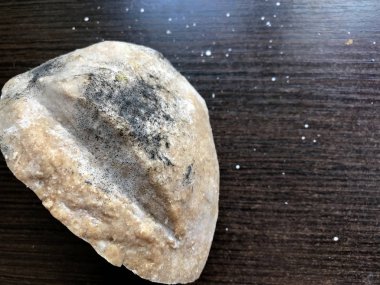 Bir parça ekmek kalıp ve mantar ile kaplıdır. Karanlık bir arka planda.