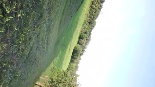 Paysage estival dans un parc urbain. Démonstration du mode de rotation circulaire de la caméra sur cardan. Paysage estival dans un parc urbain .