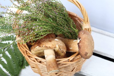 Porcini mantarı ve bir demet çiçek açan fundalıklı hasır sepet. Bu beyaz boyalı panoları ahşap bir kutu üzerinde duruyor. Eğrelti otu yaprağının yanında.
