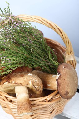 Porcini mantarı ve bir demet çiçek açan fundalıklı hasır sepet. Bu beyaz boyalı tahtalar ahşap bir kutu üzerinde duruyor.