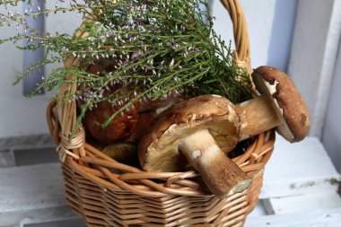Porcini mantarı ve bir demet çiçek açan fundalıklı hasır sepet. Bu beyaz boyalı kurulları ahşap bir kutu içinde duruyor.