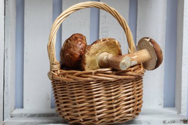 Porcini mantarlı hasır sepet. Bu beyaz boyalı kurulları ahşap bir kutu içinde duruyor.