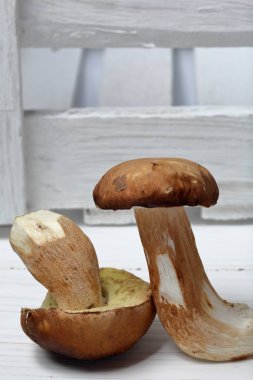 Birkaç taze porcini mantarı. Bir kutu panoların yanında.