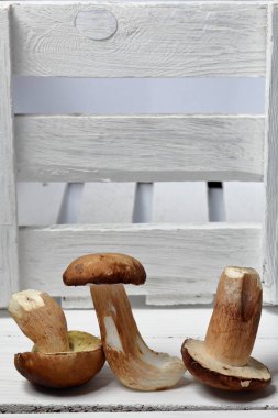 Birkaç taze porcini mantarı. Bir kutu panoların yanında.